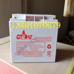 citbat蓄电池12V24AH